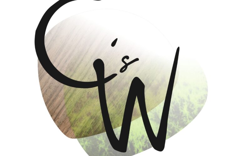 Cycy’s World