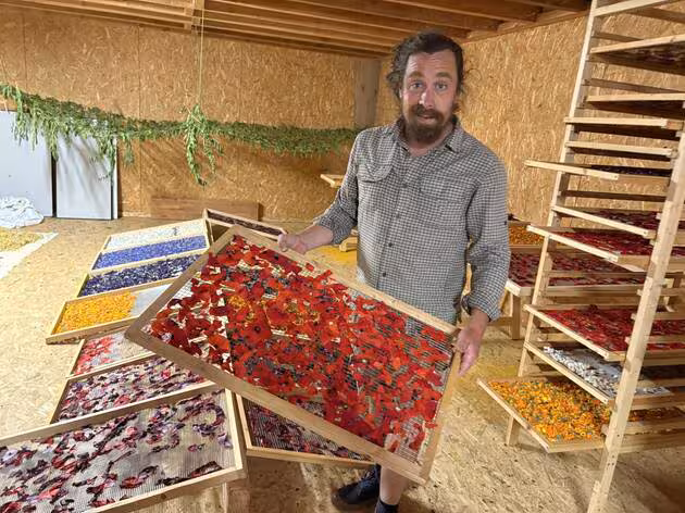 Ferme du Plantis