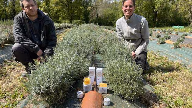 Les jardins de Gogane